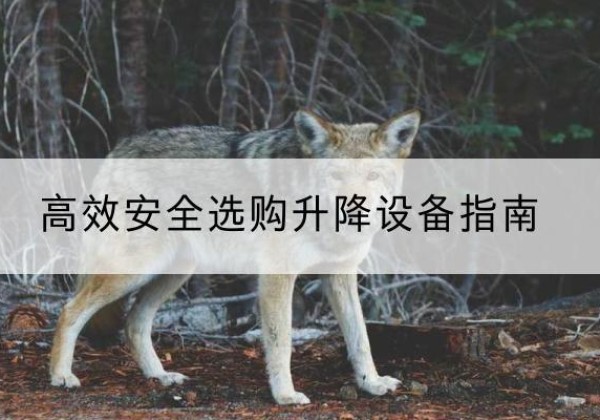 若羌升降货梯厂家推荐-*安全选购升降设备指南