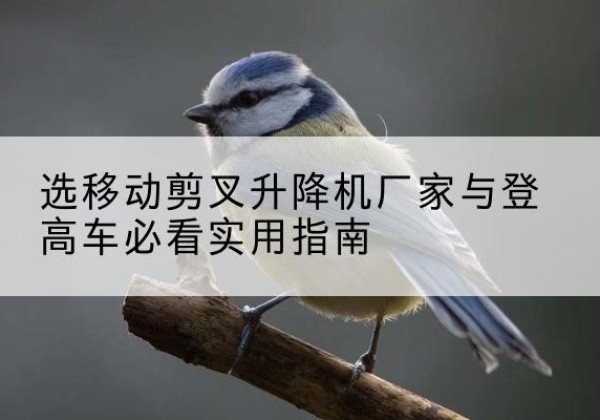若羌电动升降机厂家-选移动剪叉升降机厂家与登高车必看实用指南