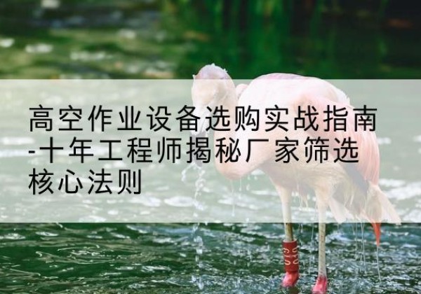 若羌剪叉式升降机厂家-高空作业设备选购实战指南-十年工程师揭秘厂家筛选核心法则